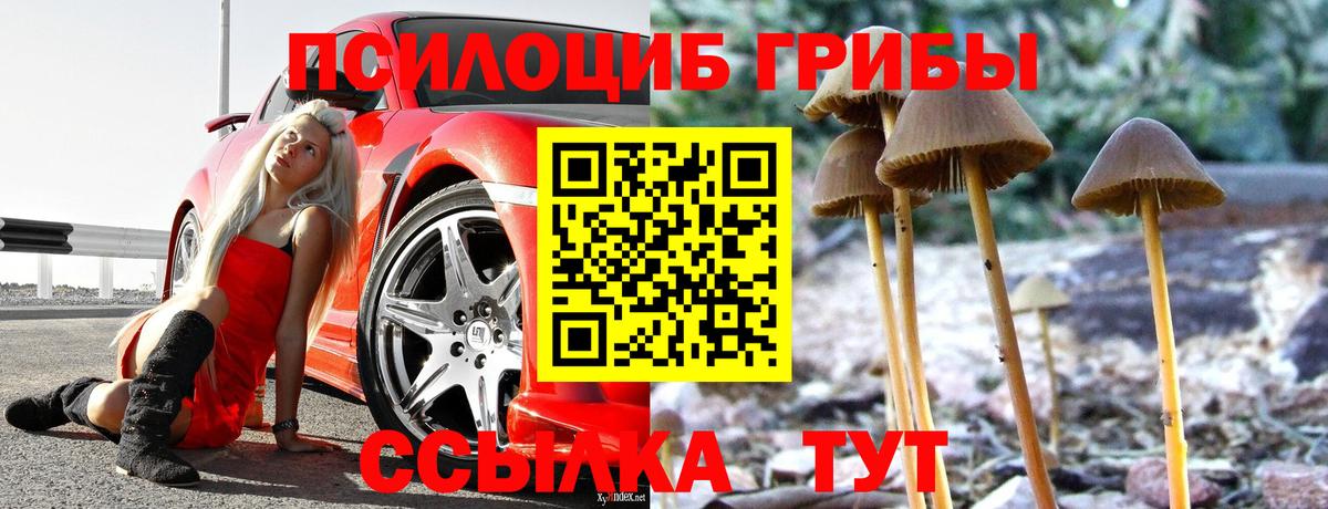 Армавир  закладки  Вход с VPN  Галлюциногенные грибы Cubensis 